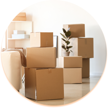 引っ越し時に大量の荷物が出て困っている